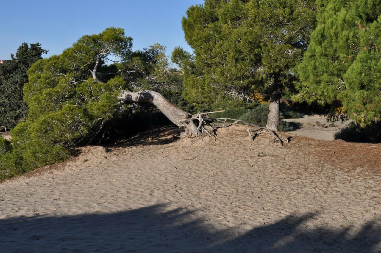 Costahispania 308 Gran Alacant Buitenkant foto